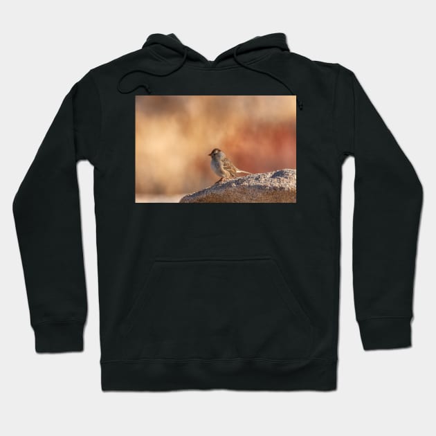 Little Sparrow Hoodie by jvnimages